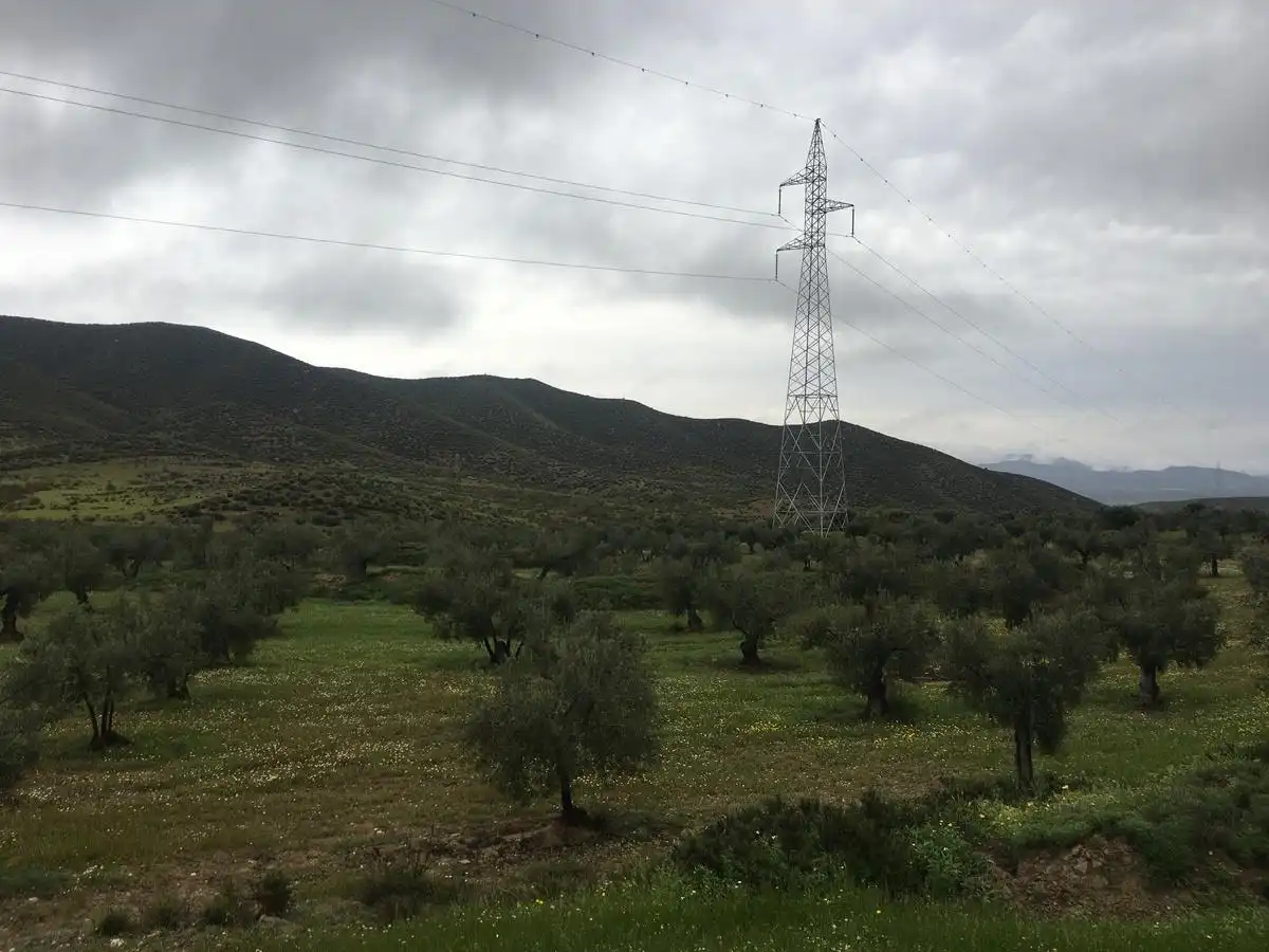 Rural land for sale in Turrillas, imagen 3