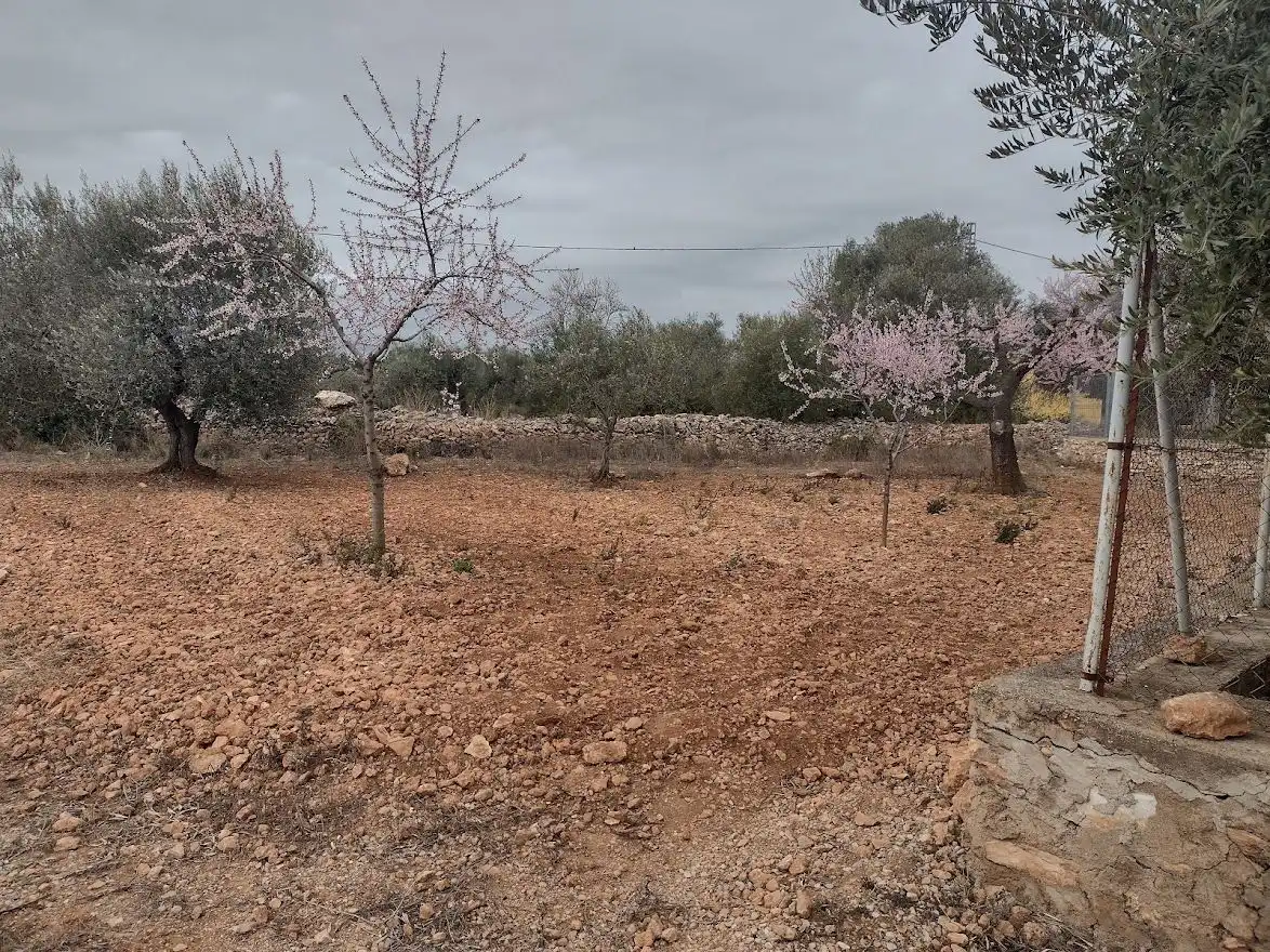 Terreno industrial en venta en N/A, -1, Useras / Les Useres