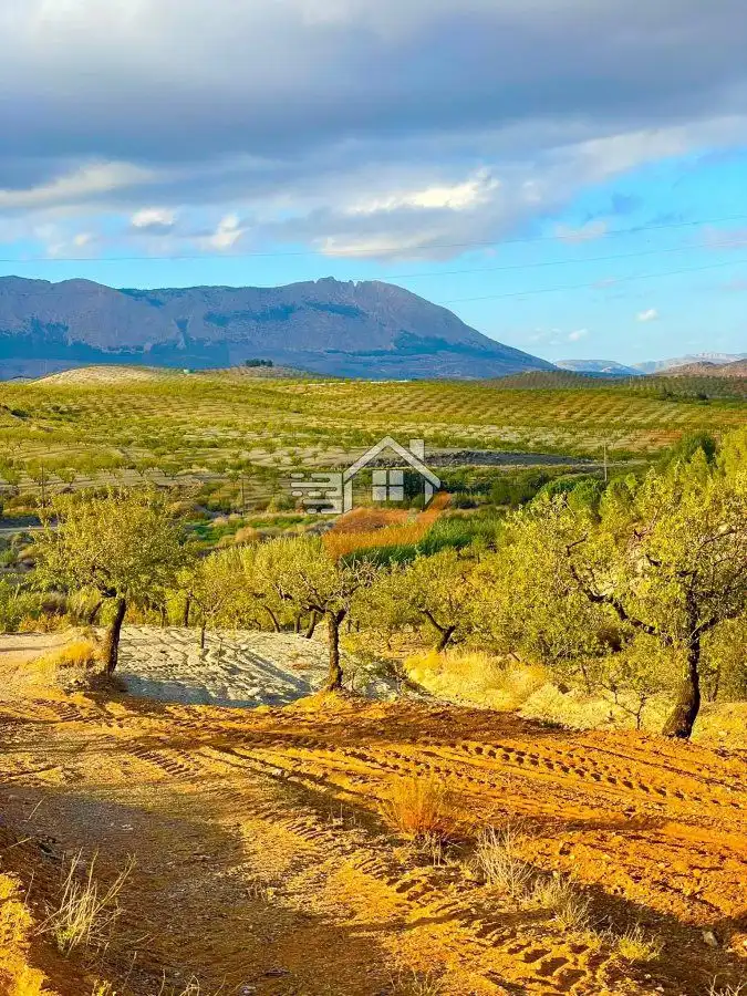 Residential land for sale in Vélez-Rubio, imagen 14