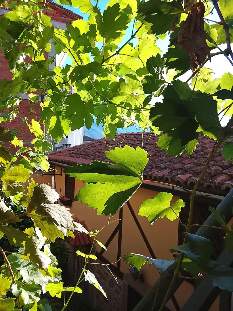Reihenhaus mit Garten zum Verkauf in Madrigal de la Vera, imagen 4