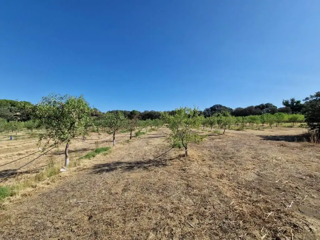 Terreno en venta en Binaced