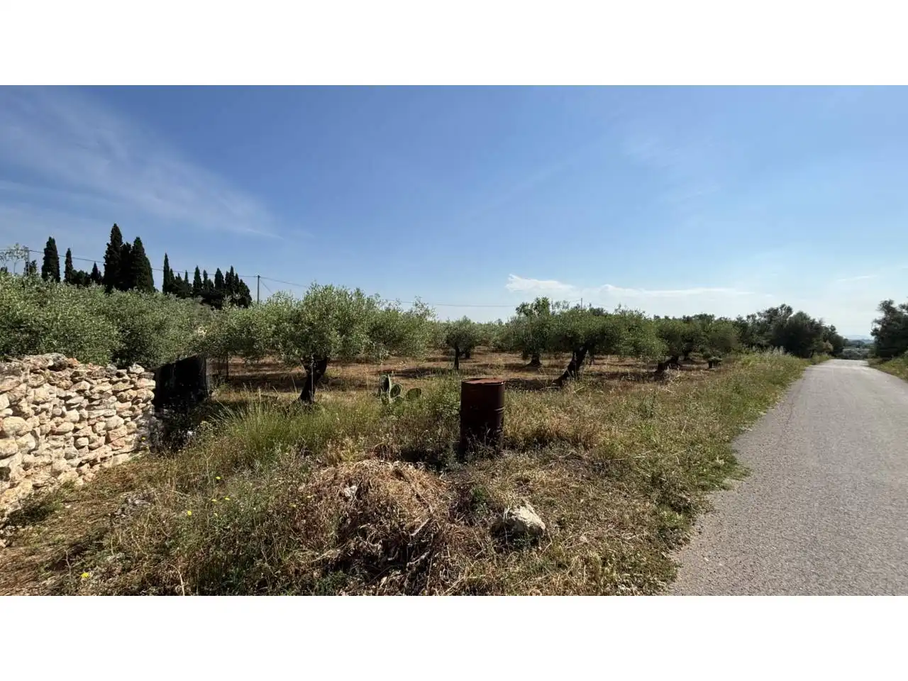 Rural land for sale in Canet lo Roig, imagen 6