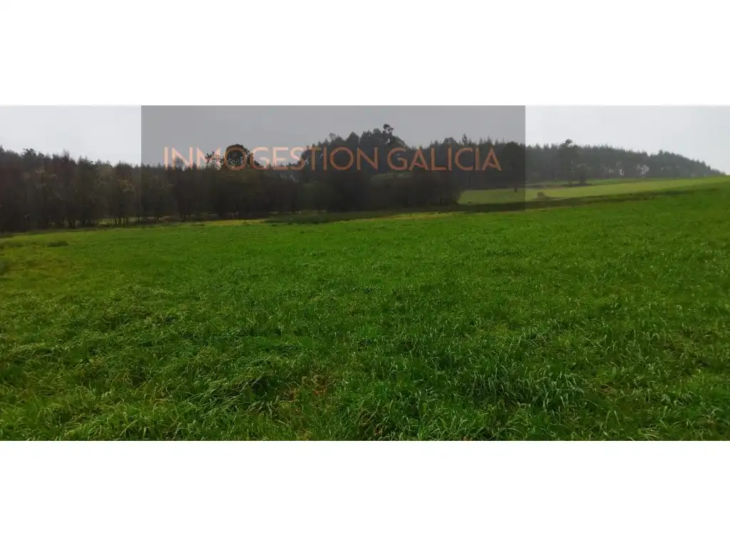 Terreny residencial en venda a Carballo, imagen 8