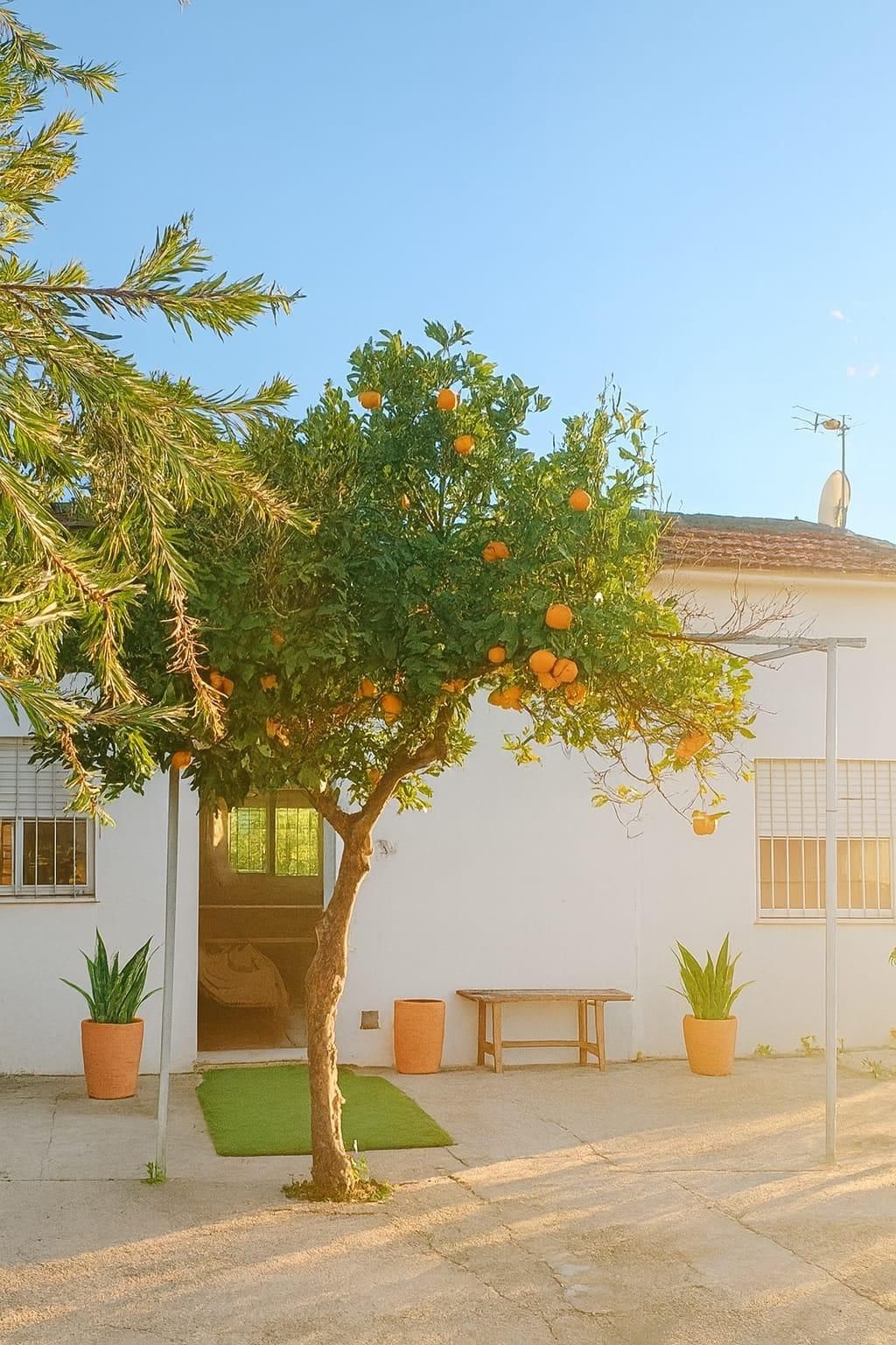 House or chalet for sale