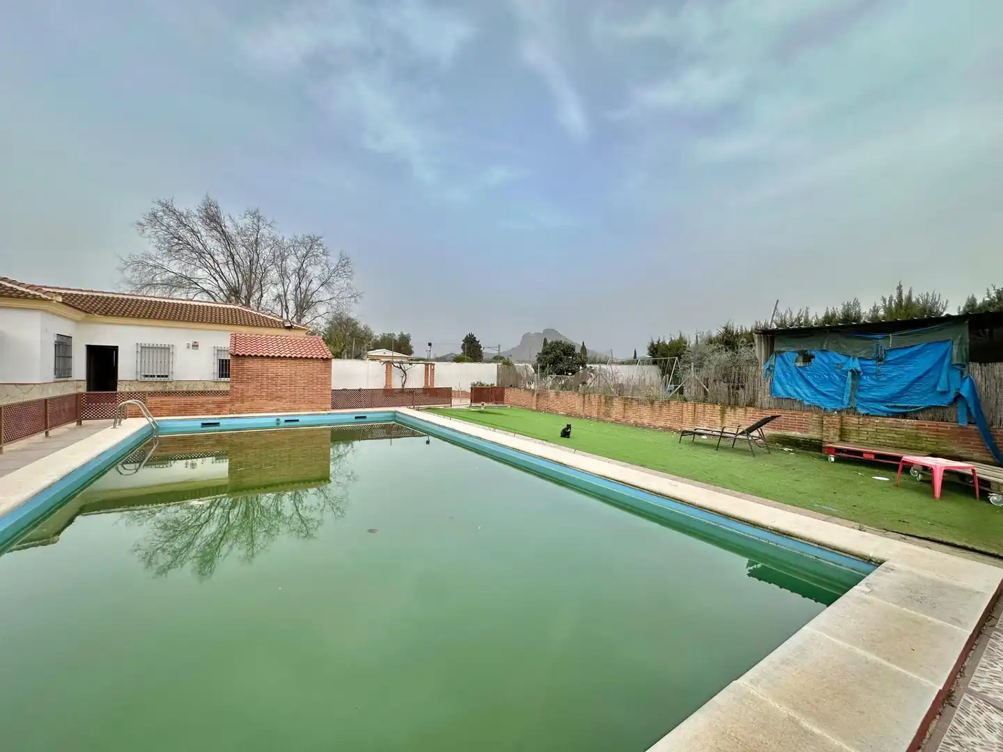Piscina de Casa o chalet en venta en Antequera