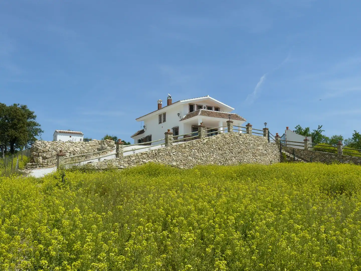 Garden of Country homes for sale in Archidona  with Terrace, Storage room and Furnished