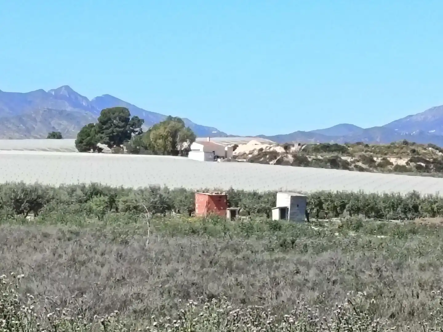 Rustikales Grundstück zum Verkauf in Monforte del Cid, imagen 5