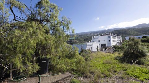 Foto 5 de Residencial en venda a Camino el Roque, 2, La Guancha, Santa Cruz de Tenerife
