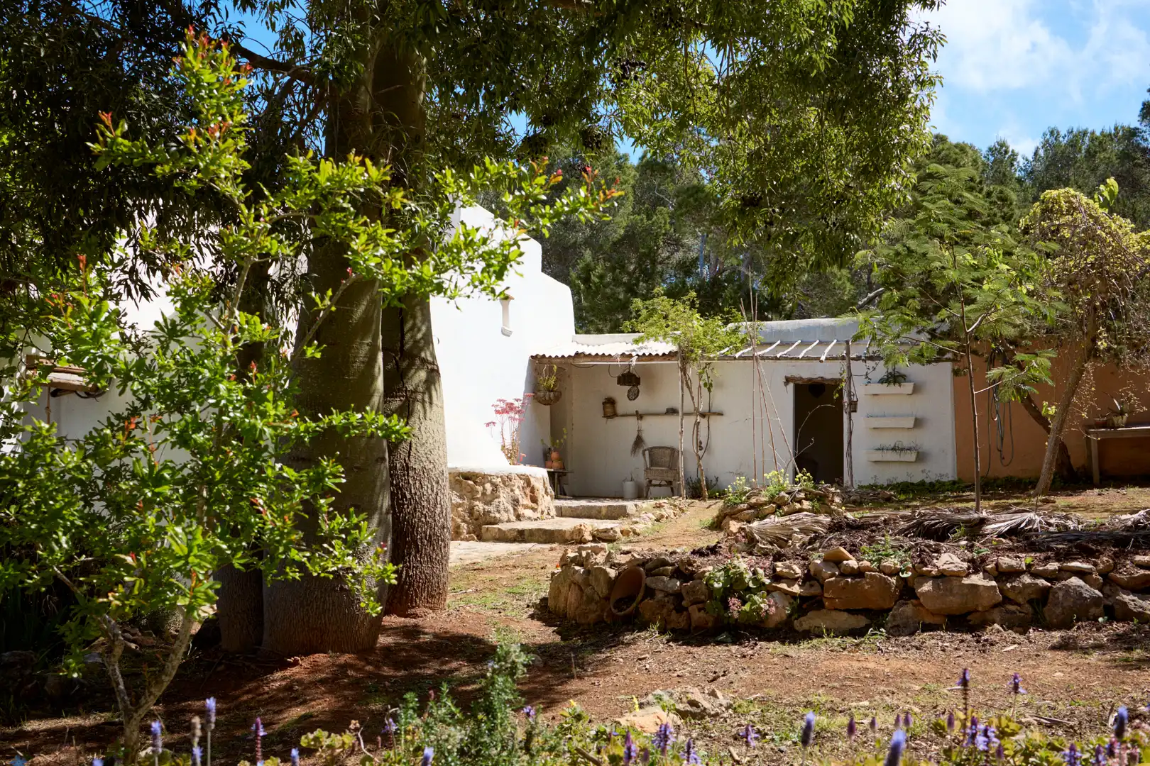 Finca rústica en venda a Sant Joan de Labritja