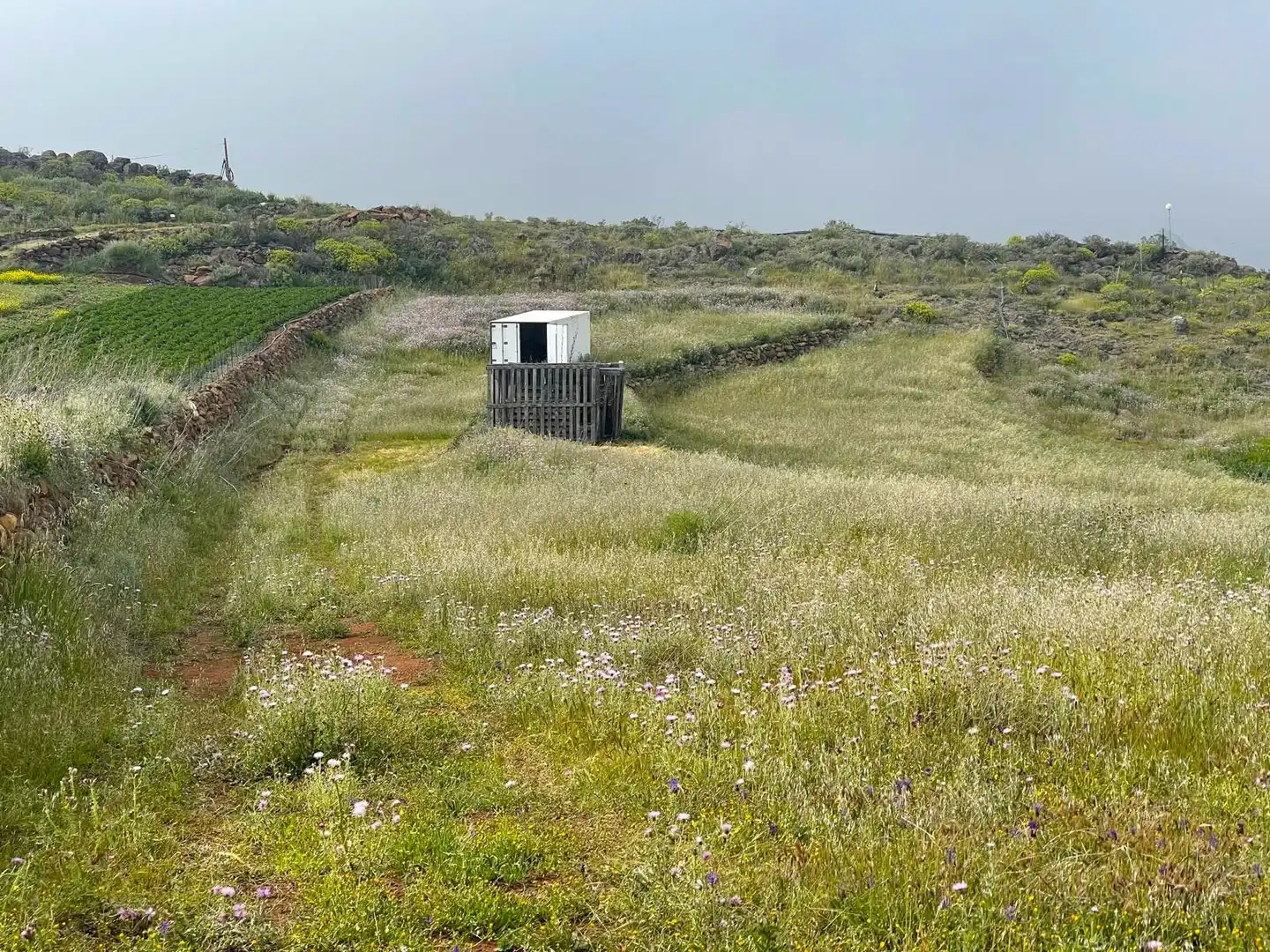 Rural land for sale in LA PASADILLA, imagen 2