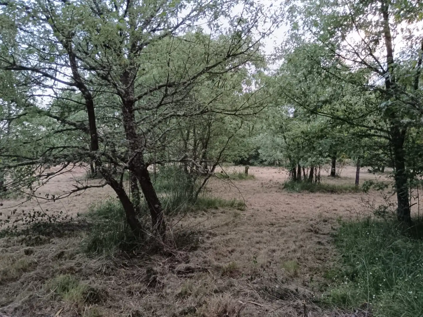 Terreno en venta en Baltar