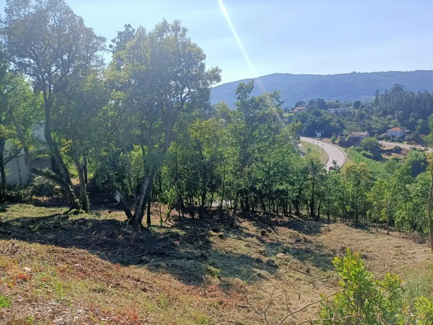 Terreni e lotti in vendita a San Rosendo, imagen 6