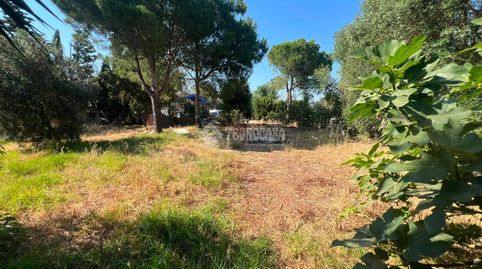 Foto 5 de Terreno en venta en Roche, Conil de la Frontera