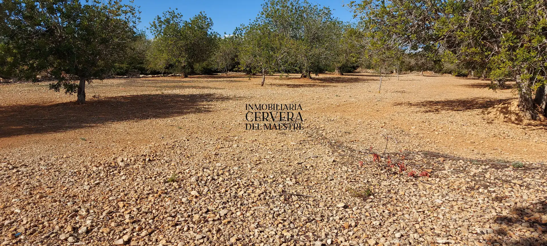 Terreno rustico in vendita a Partidas de interior - Zona Rústica, imagen 15
