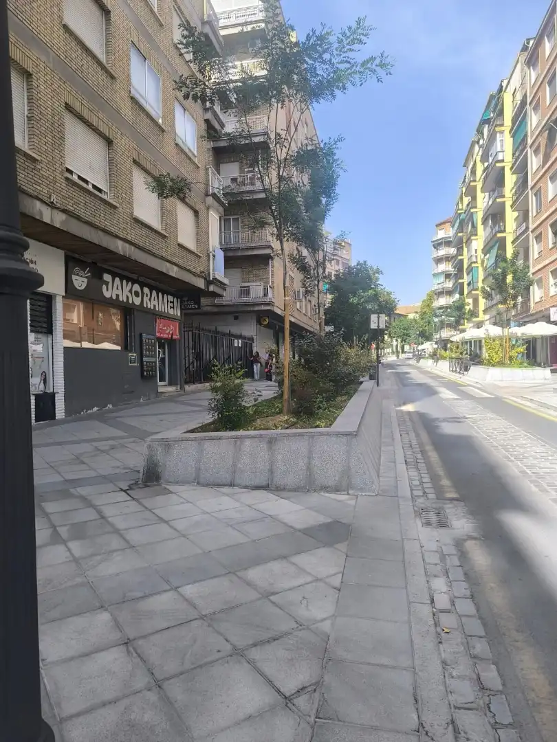 Pis amb terrassa en venda a Calle Emperatriz Eugenia 11, imagen 3