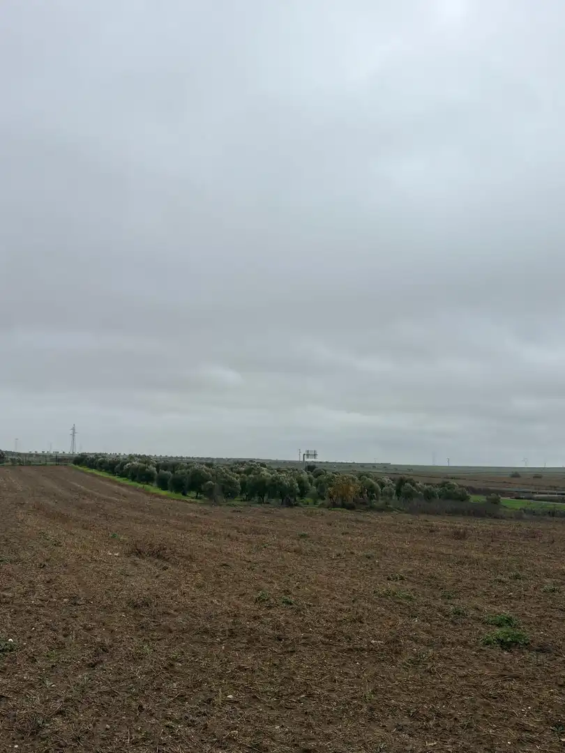 Terreno rustico in vendita a La Orden, imagen 14