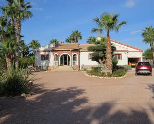 Vista exterior de Finca rústica en venda en Daya Vieja amb Terrassa