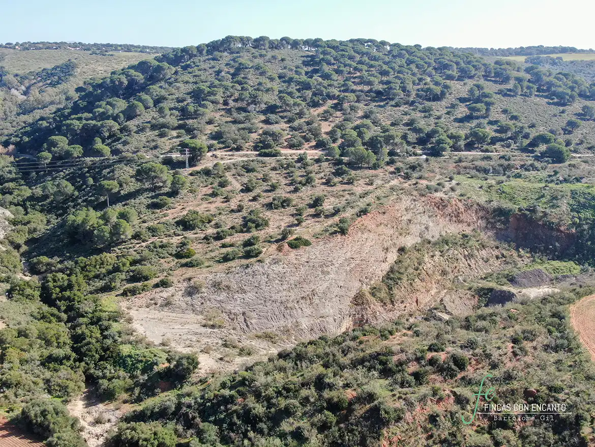 Terreno rustico in vendita a Arcos de la Frontera, imagen 6