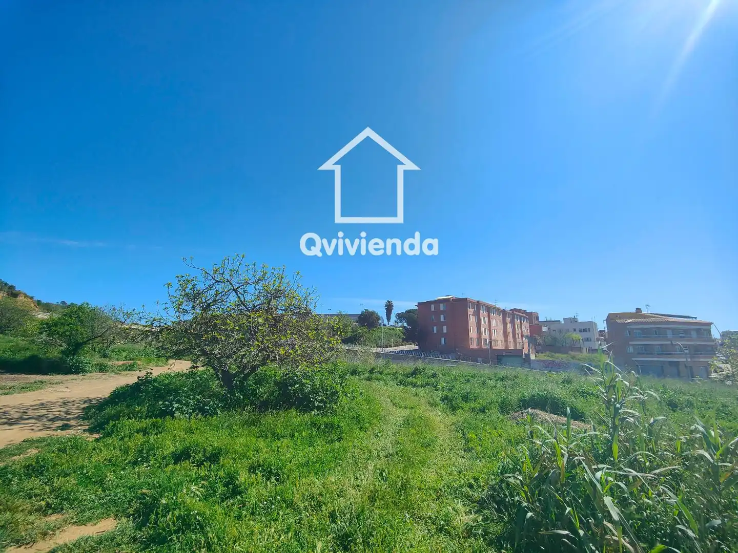 Terrain rustique à vendre à Poum - La Maurina, imagen 8