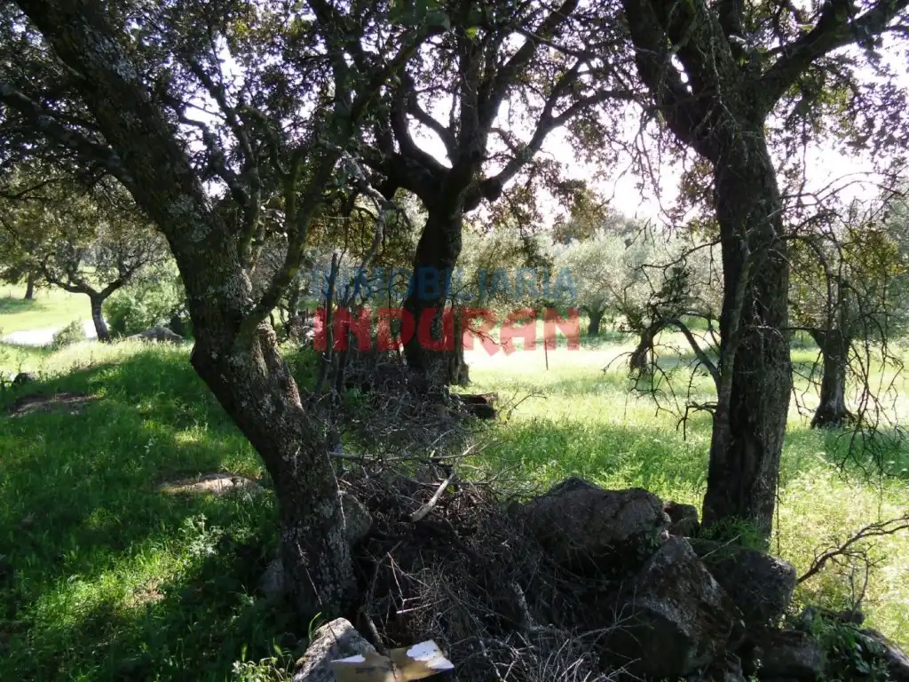Casa rústica en venda a Belvís de Monroy, imagen 5