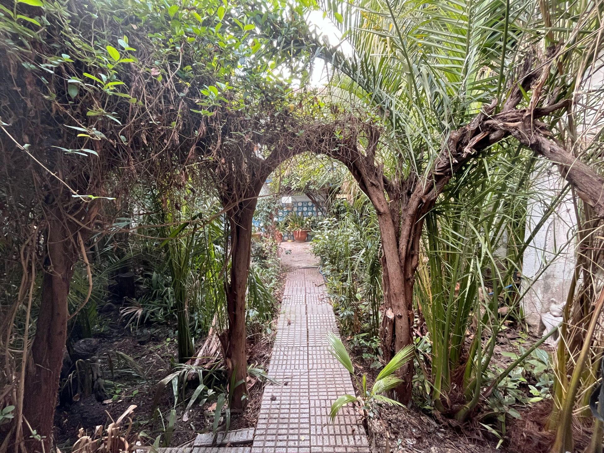 Garden of House or chalet for sale in  Granada Capital  with Private garden, Storage room and Furnished