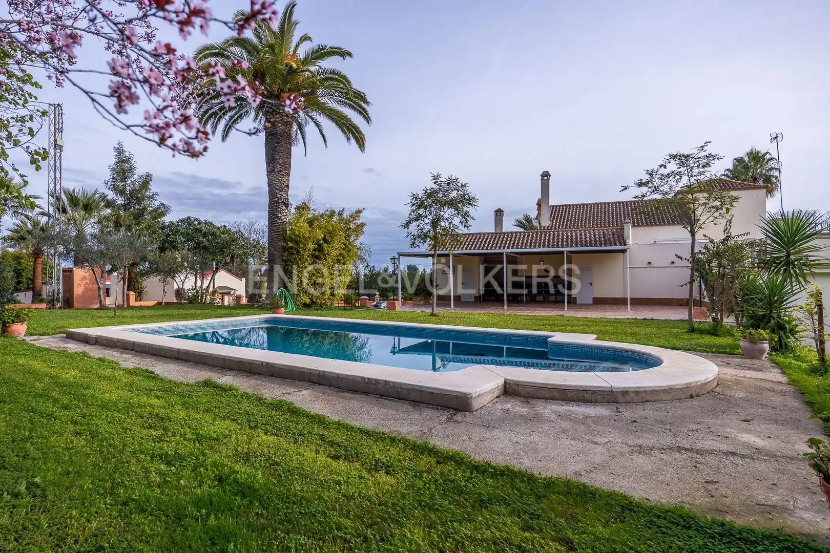 Vista exterior de Finca rústica en venta en Olivares con Calefacción, Jardín privado y Piscina