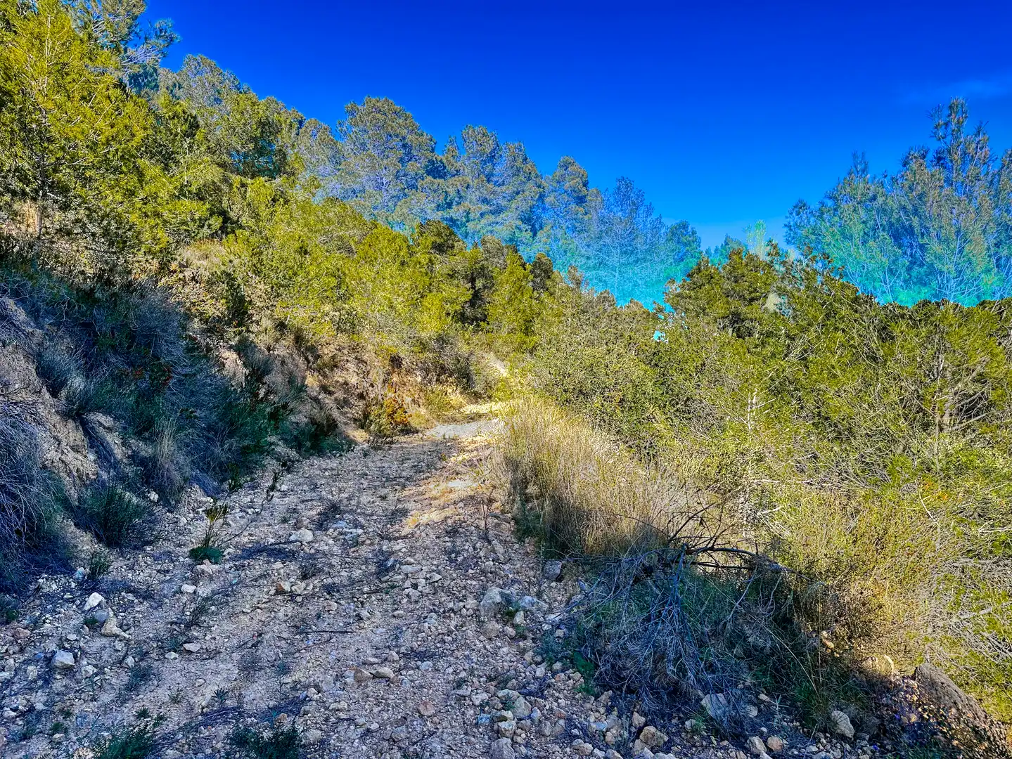 Terreno en venta en Polop