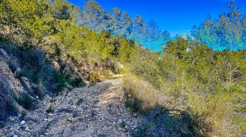 Foto 2 de Terreno en venta en Xirles, Polop