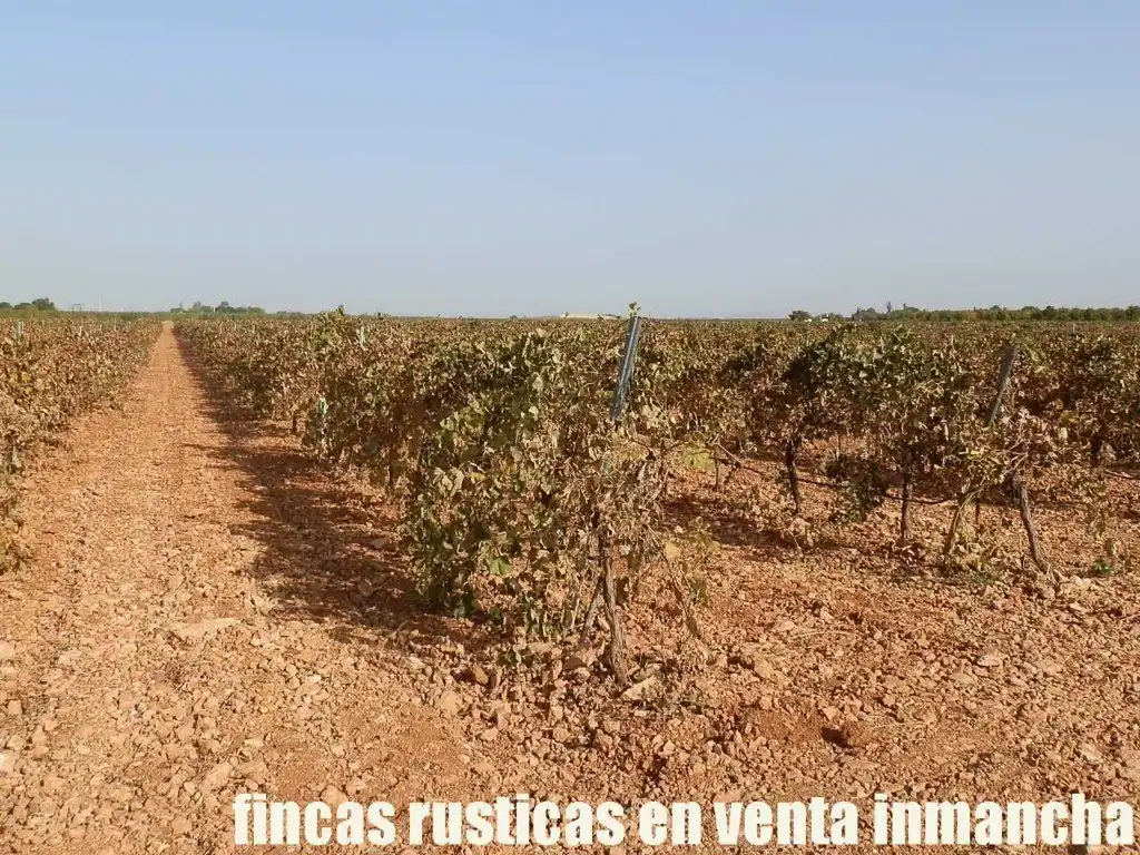 Terrenys i solars en venda a Almagro, imagen 2