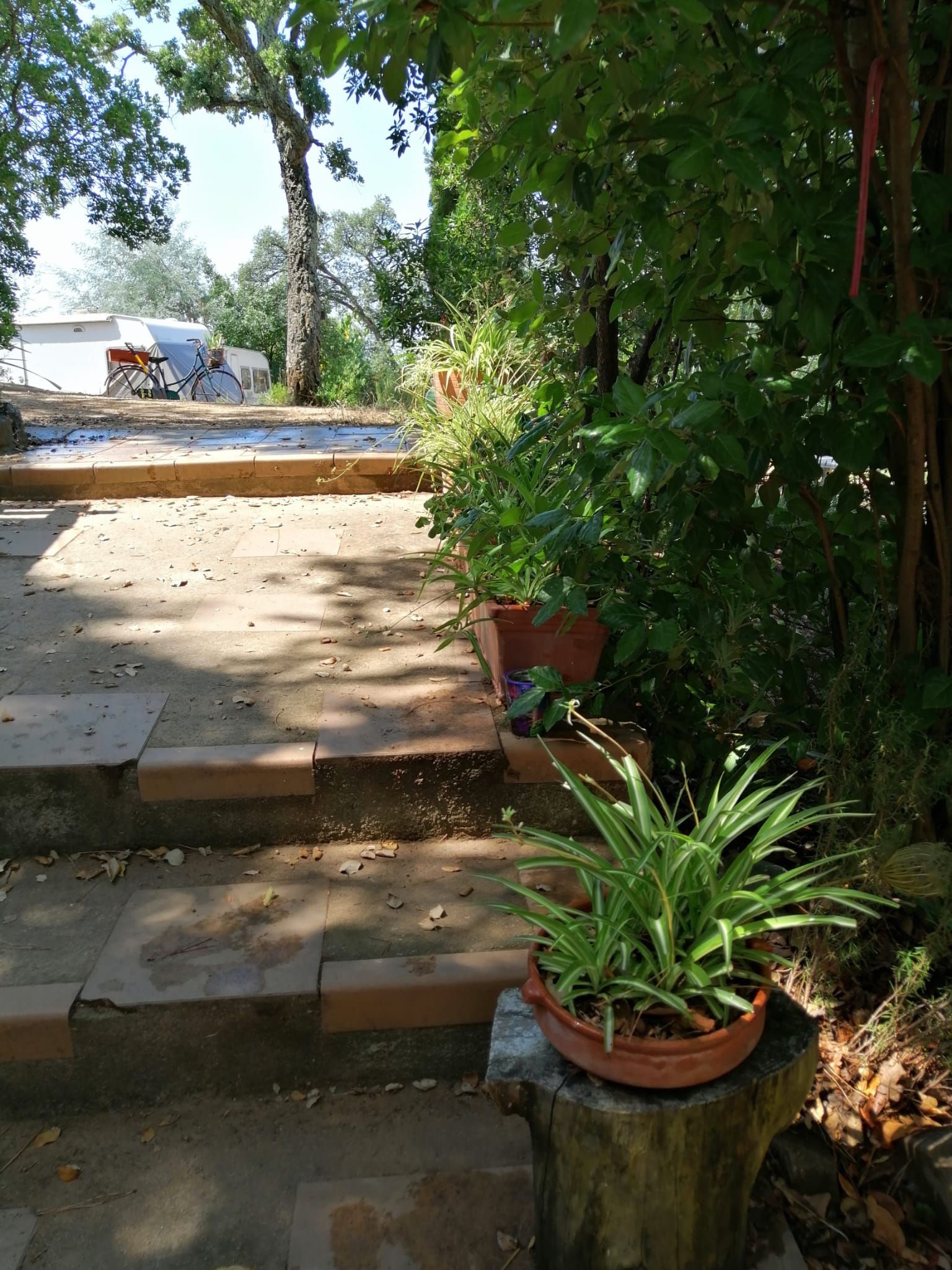 Jardí de Casa o xalet en venda en Riells i Viabrea amb Terrassa, Traster i Moblat