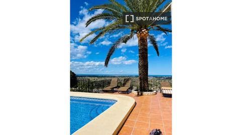 Photo 3 of Apartment to share in Pedreguer, Alicante