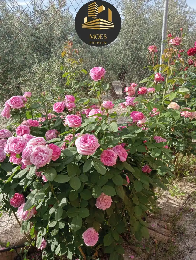 Villa zum Verkauf in Begíjar, imagen 46