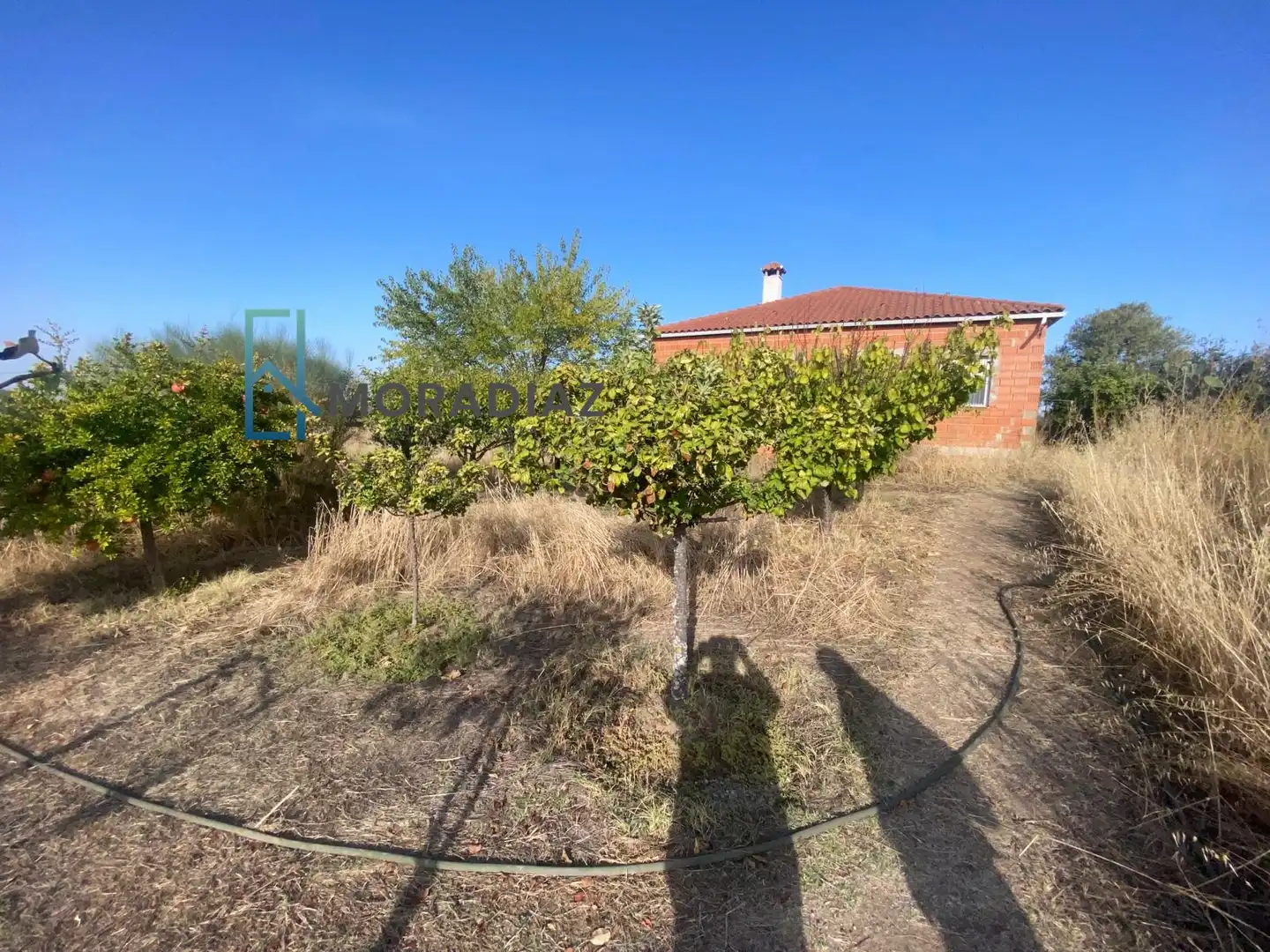 Casa o xalet en venda en Don Benito amb Jardí privat i Traster
