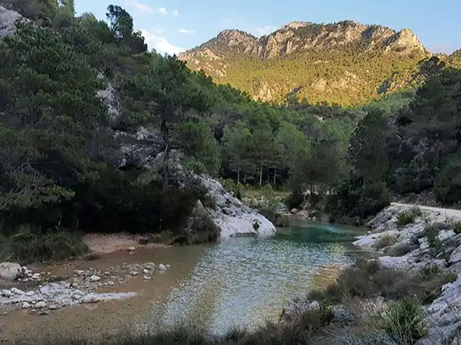 Xalet amb piscina en venda a Camino del Parrizal 7, imagen 44