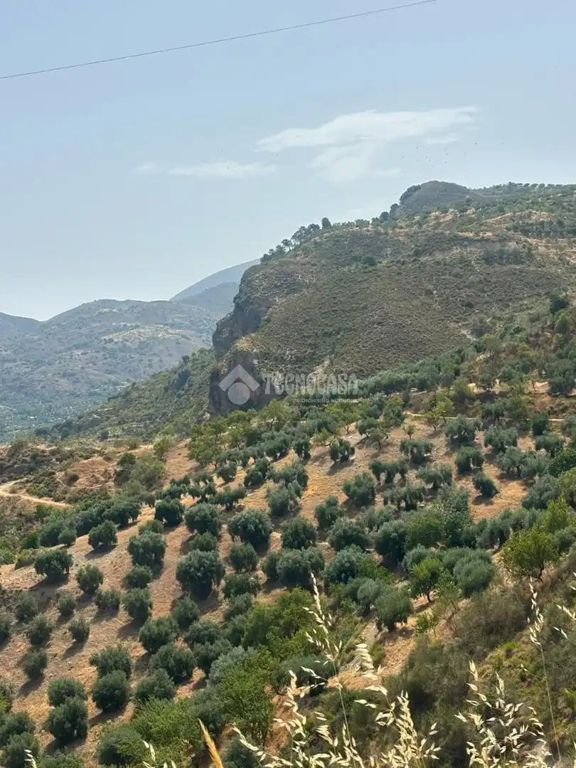 Land for sale in Quéntar