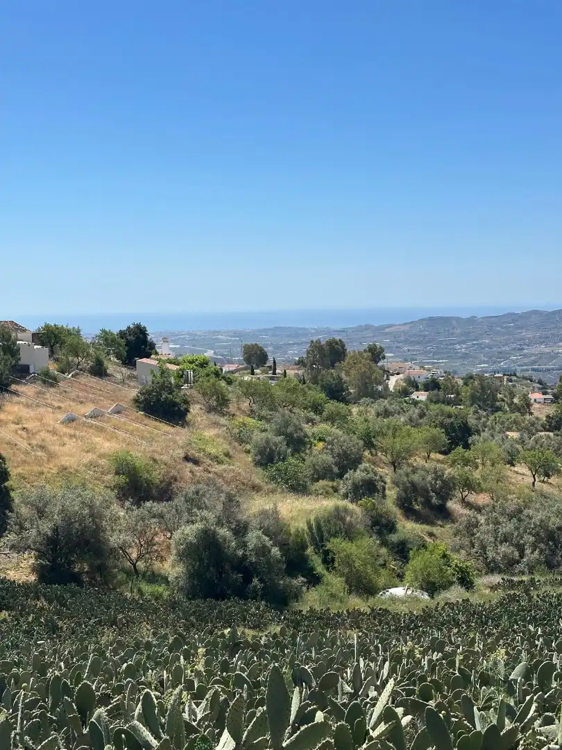 Terreni e lotti in vendita a Vélez-Málaga ciudad, imagen 13