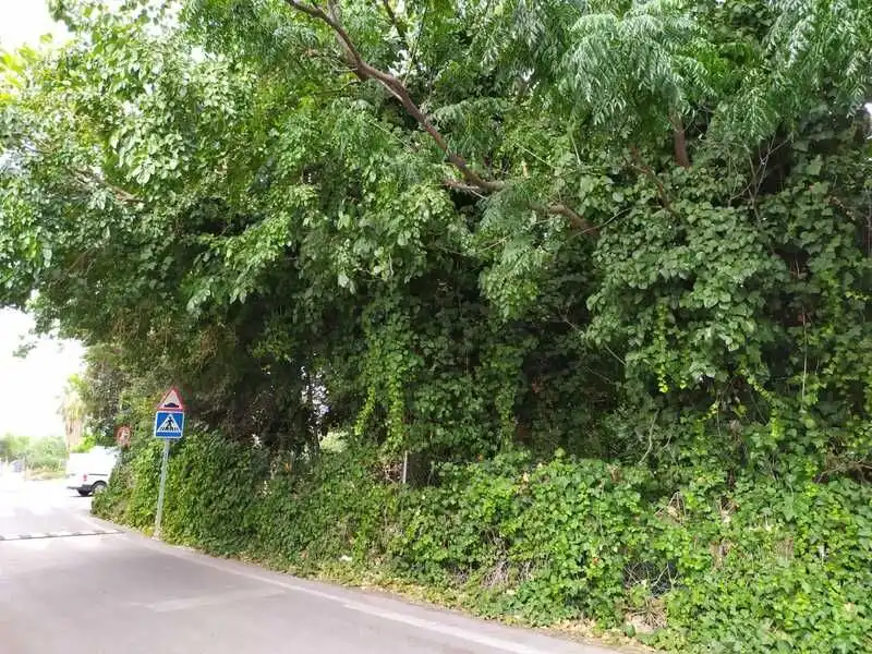 Lands and plots for sale in Carril Torre Ibañez 30, imagen 2