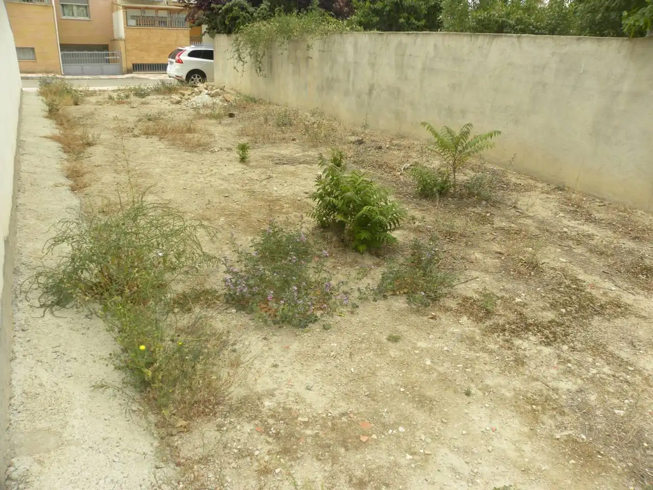 Terreny rústic en venda a Caravaca de la Cruz, imagen 4
