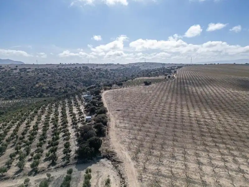 Land for sale in Alamedilla