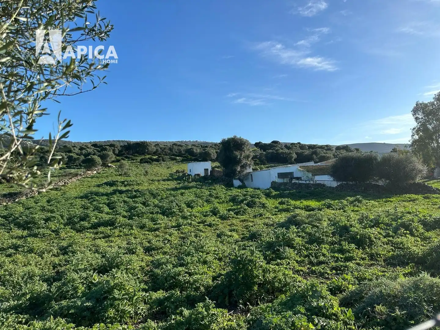 Terreno en venta en Facinas