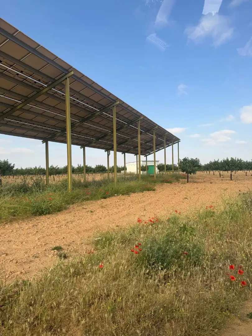 Vista exterior de Terreno en venta en Iniesta