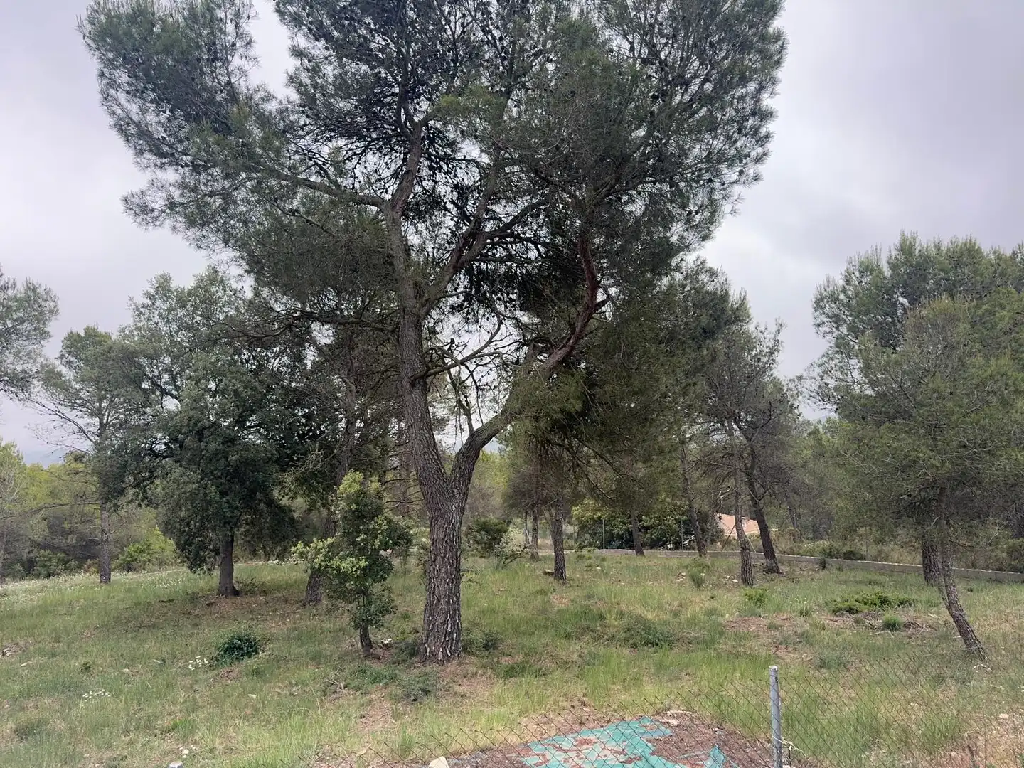 Terreno residenziale in vendita a Avinguda del Bosc, imagen 6