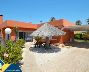 Jardí de Casa o xalet en venda en Torrevieja amb Terrassa i Moblat