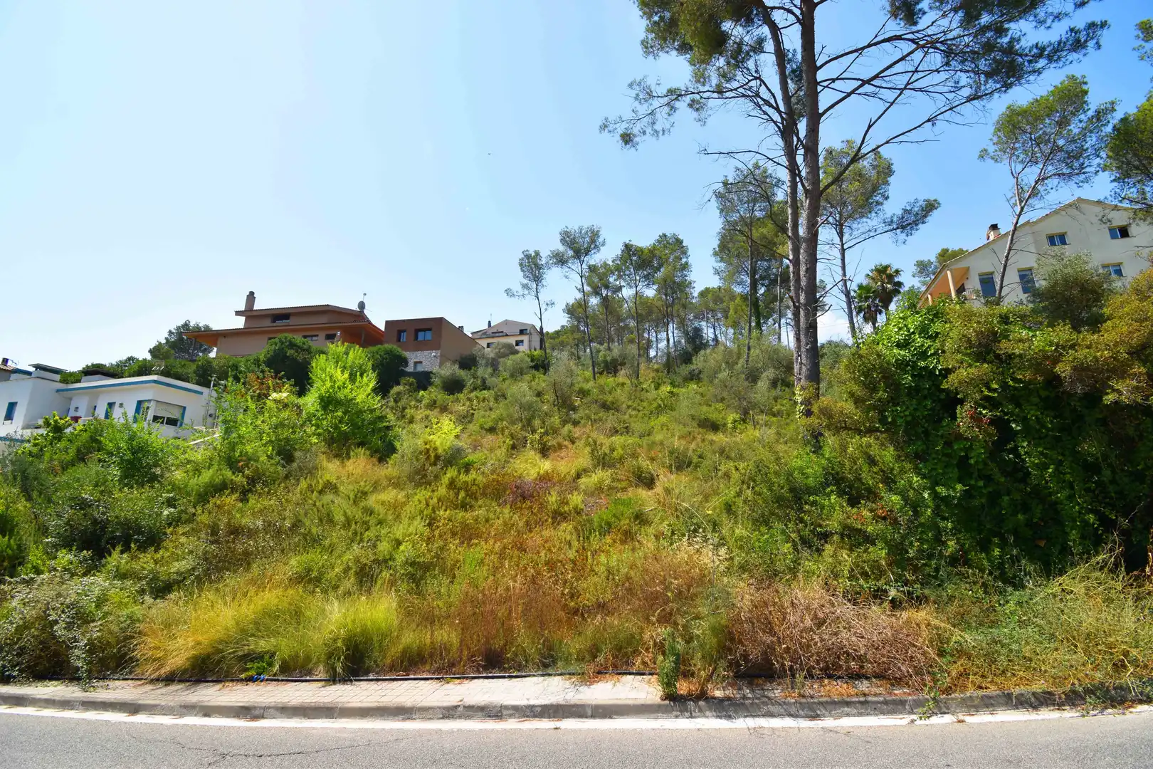 Terrain rustique à vendre à Calle Os Blanc, imagen 8