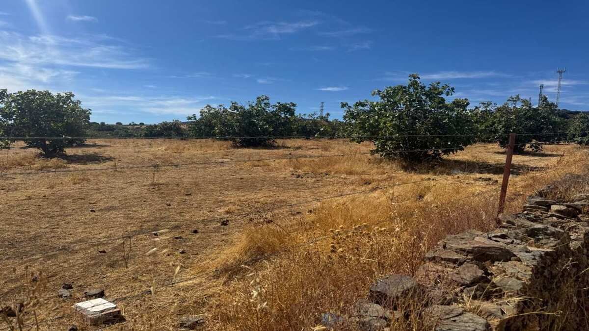 Residential for sale in Monesterio