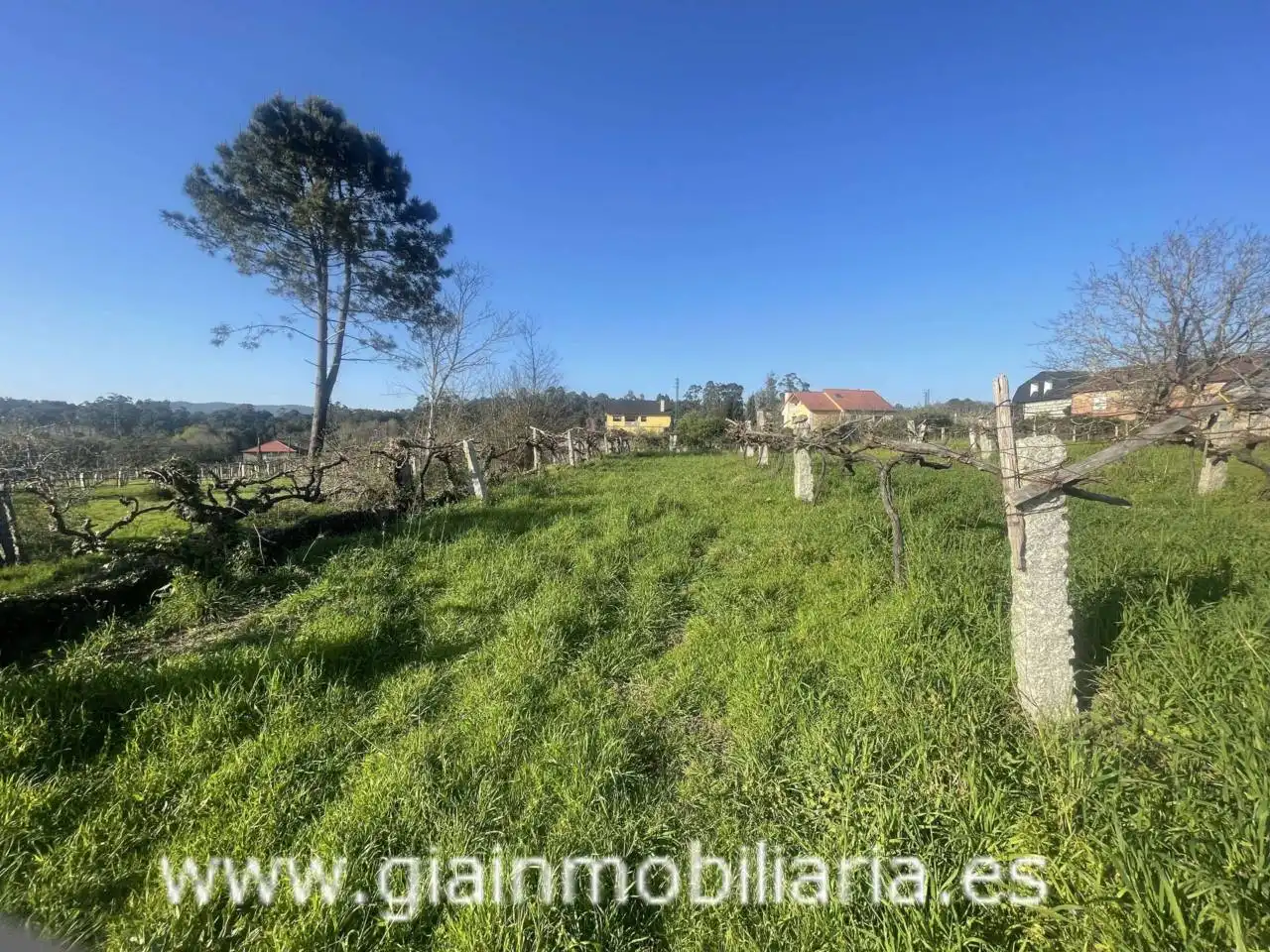 Casa con jardín en venta en Calle Xestal, imagen 43