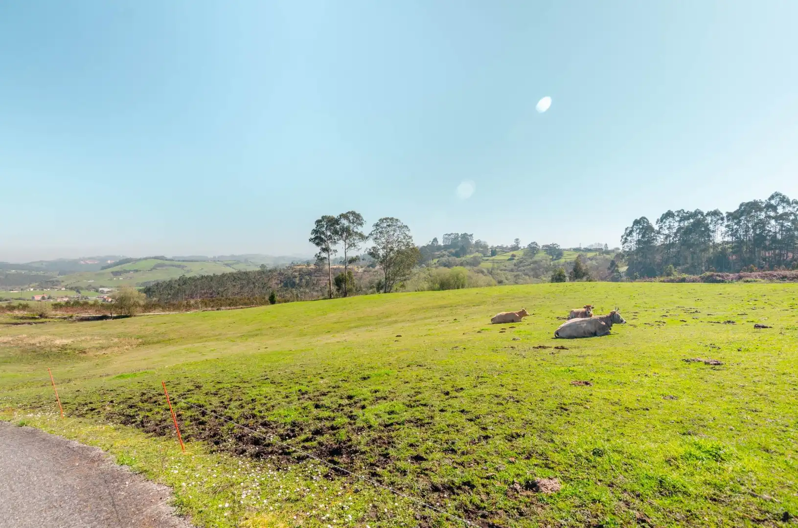Houses for sale in Llanera  with Alarm