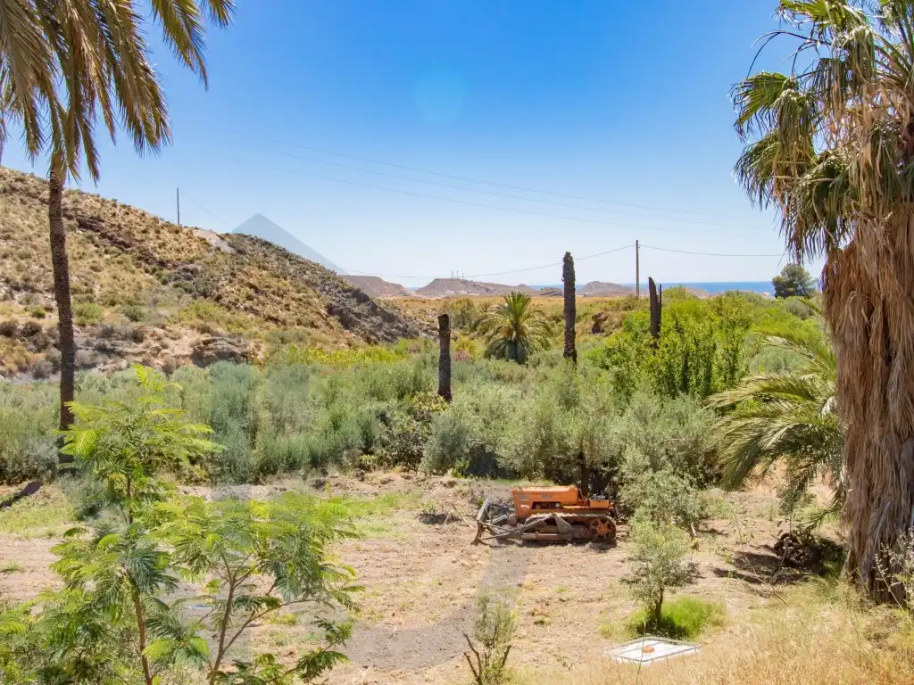 Jardí de Finca rústica en venda en Pulpí
