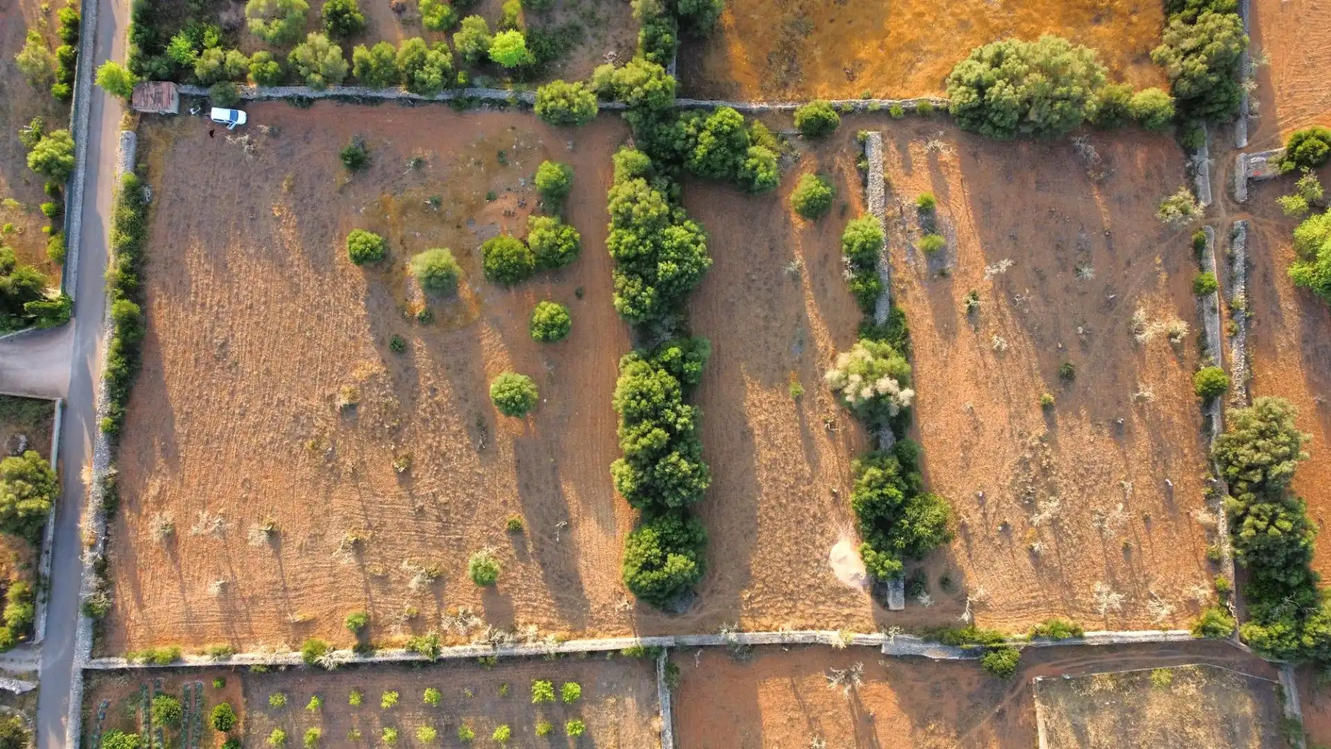 Terreno rustico in vendita a Santa Margalida Poble, imagen 3