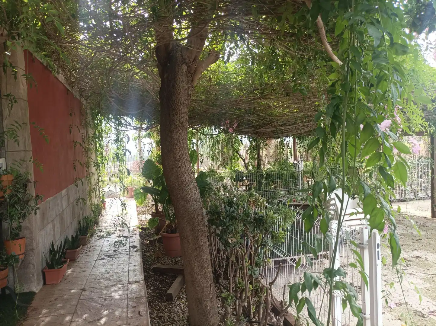 Xalet amb piscina en venda a Fortuna, imagen 60